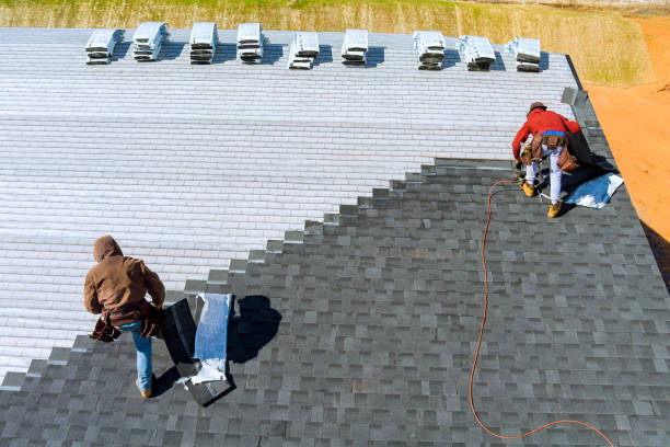 Best Roof Gutter Cleaning  in Ajo, AZ